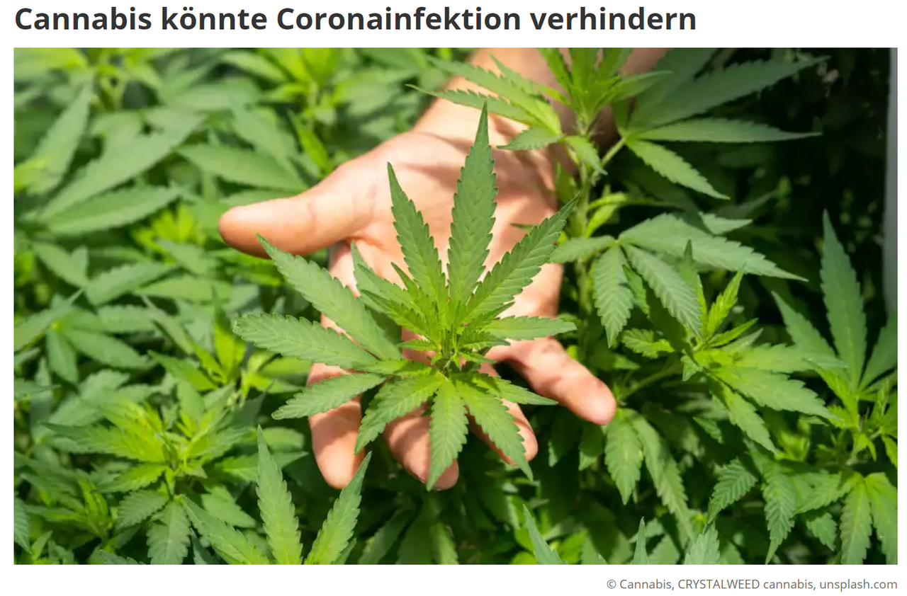Legalisierung
