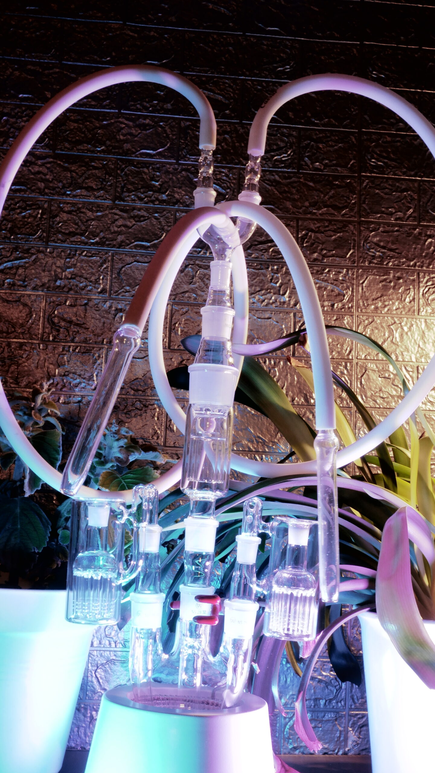 Shisha-Style