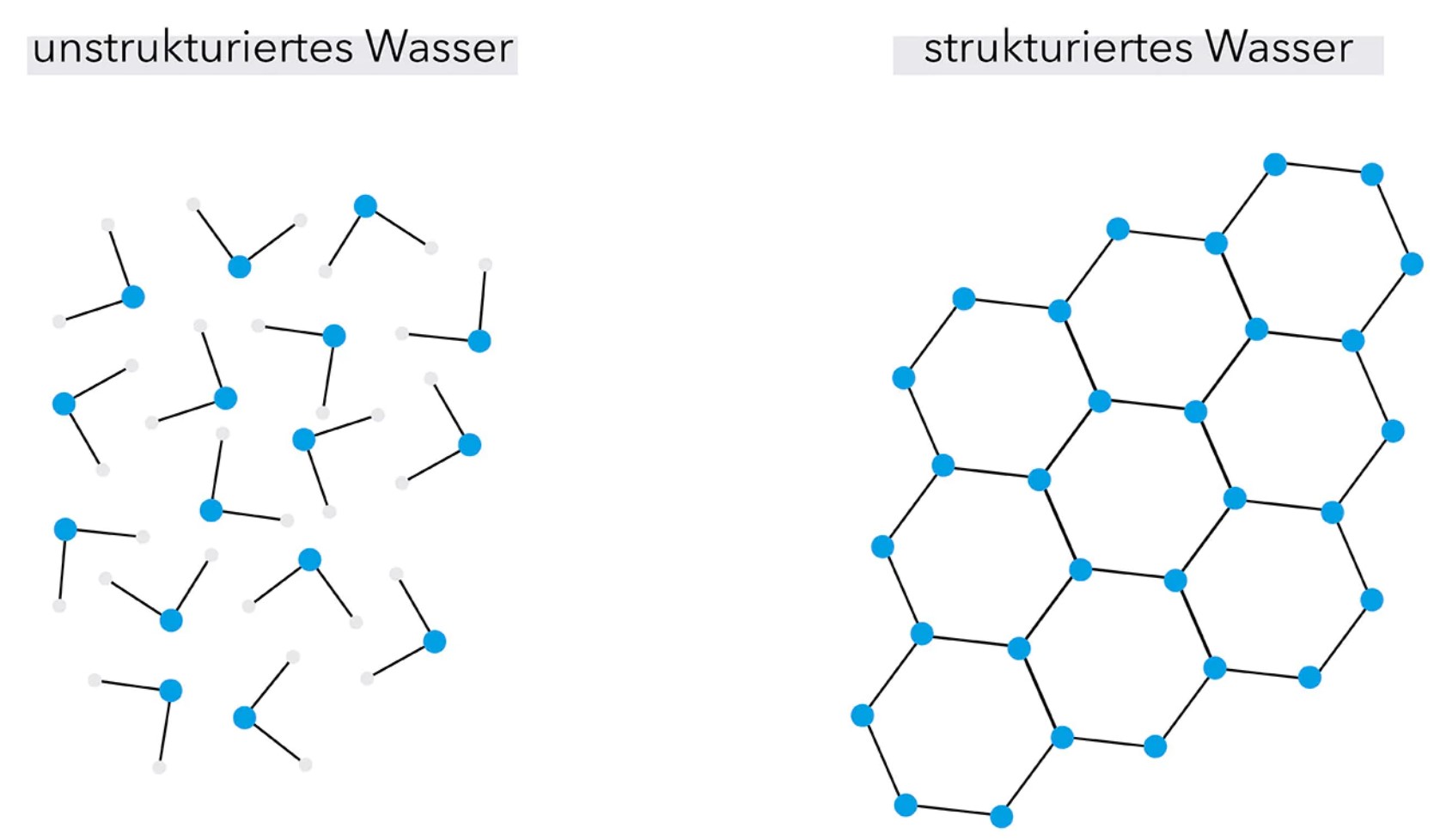 Unser (strukturiertes) Wasser