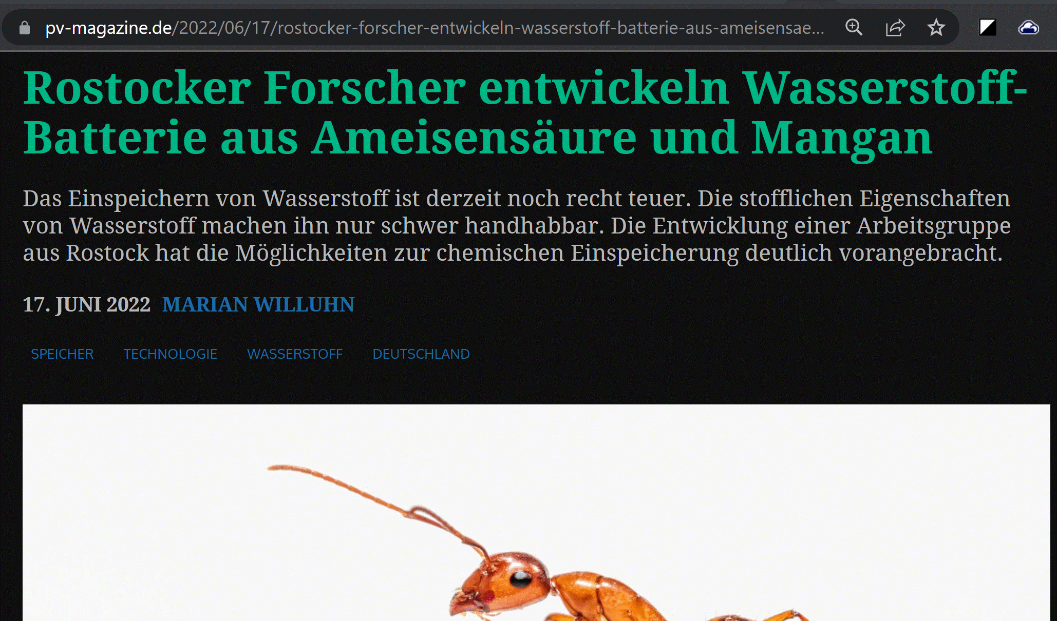 Fahrzeug Statistik